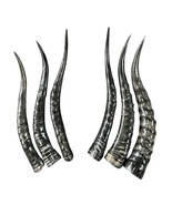 Polished Blesbok Horn, 1 Real African Antelope Horn Size Approx. 14&quot; str... - $40.60 CAD