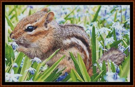 Chipmunk ~~ Cross Stitch Pattern - £12.55 GBP