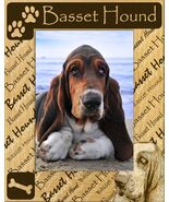 Basset Hound Laser Engraved Wood Picture Frame Portrait (5 x 7) - $563.94 MXN