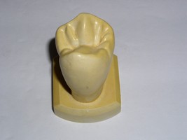 Dental Tooth Model Plaster Cast Anatomy Morphology Teaching Upper 1st Bi... - £14.14 GBP
