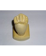 Dental Tooth Model Plaster Cast Anatomy Morphology Teaching Upper 1st Bi... - $24.43 CAD