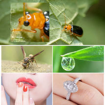 Item image 9