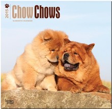 Chow Chows 2015 Square 12x12 (Multilingual Edition) [Calendar] - £6.70 GBP