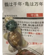 Turtle Amulet Made from Shells: Glasses Turtle - €19,97 EUR