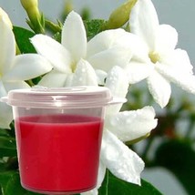 Jasmine Scented Soy Wax Candle Melts Shot Pots, Vegan, Hand Poured - £12.82 GBP+