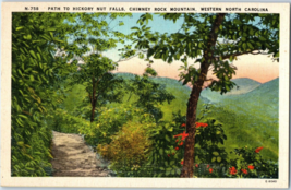 Path to Hickory Nut Falls Chimney Rock Mountain North Carolina Postcard - £3.98 GBP