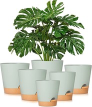 Plant Pots 8/7/6.5/6/5.5/5 Inch Gardife Self Watering Planters With, And Cactus - £29.65 GBP