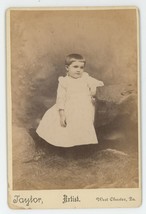Antique c1880s Cabinet Card Adorable Child in Dress Taylor Wests Chester, PA - £7.49 GBP