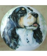 Ceramic Cabinet Knobs Knob w/ Cocker Spaniel Monica #2 DOG - £3.41 GBP