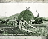 1915 Darling Downs Goomburra Valley Austraila Stacking Wheat Panama Paci... - $10.84