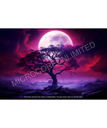 Digital Art - moon-tree - Free Shipping - $0.99