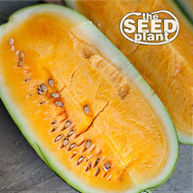 USA SELLER Tendersweet Orange Watermelon Seeds 25 Seeds Fresh New - £7.80 GBP