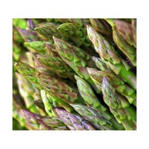 Premier Seeds Direct Asparagus Mary Washington includes 250 Seeds  - $7.00