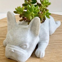 1pc Mini Resin PuppyFlower Pot, Succulent Planter, French Bulldog Shape ... - $11.86