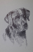 Black Labrador Retriever Dog Art Print Kline Signed Drawing. Name Added Free. - £38.91 GBP
