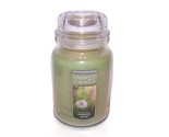 Yankee Candle Summer Wish Scented Large Jar Candle 22 oz - $28.99