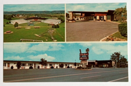 City View Motel Little League Baseball Williamsport PA Dexter UNP Postcard 1970s - £6.16 GBP