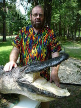 (G402-4) HUGE 10' Real Gator ALLIGATOR stuffed skin Trophy Taxidermy Mount  - $68,576.85 MXN (G402-4) HUGE 10' Real Gator ALLIGATOR stuffed skin Trophy Taxidermy Mount  - $68,576.85 MXN