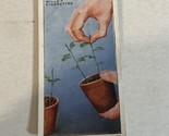 Stopping Sweet Pea Seedlings WD &amp; HO Wills Vintage Cigarette Card #25 - £2.32 GBP