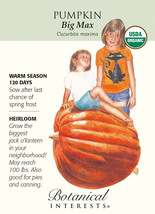 Organic Big Max Pumpkin Seeds 4 Grams USA Seeds Fast Shipping - $24.28