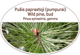 Item image 14