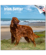 Irish Setter Wall Calendar 2024 Animal DOG PET Lover Gift - £19.77 GBP