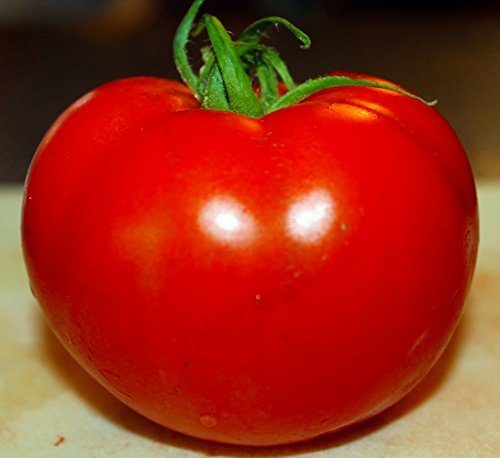 Celebrity Tomato 45 Seeds -Disease Resistant! - $2.48