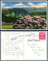 VIRGINIA Postcard - Shenandoah Valley E4 - £2.21 GBP