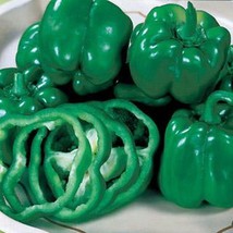 USA Seller California Wonder 300 Bell Pepper Seeds Fast Shipping - £9.57 GBP