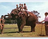 Children Riding Elephant Alabama Mountain Lakes AL UNP Chrome Postcard P1 - $4.90