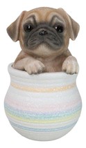 Realistic Puggy Pug Puppy Dog Figurine With Glass Eyes Pup In Pot Collection - £19.97 GBP
