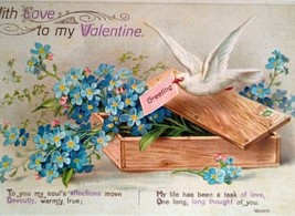 Valentine Postcard White Dove Holds Message Blue Forget Me Not Flowers Box 14877 - £14.05 GBP