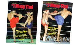 Muay Thai Kickboxing Master Sken 2 DVD Set martial arts pads combos fighters - £27.45 GBP