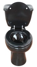 Mexican Talavera Ceramic Toilet Hand Painted  - Negro Splash - - $1,199.00