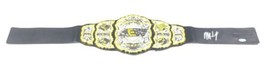 Matt Hardy signed Championship Belt PSA/DNA AEW NXT Autographed Wrestling - £157.26 GBP