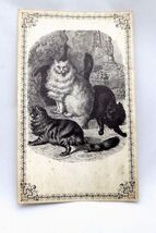 VTG Cat Antique Look Sketching Postcard Huge 3 BS LTD Great Falls VA 196... - $5.99