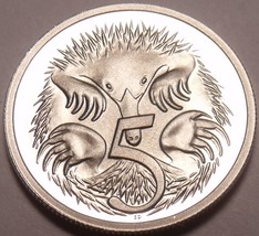 Cameo Proof Australia 1981 5 Cents~Short-Beaked Spiney Ant-Eater - $8.73