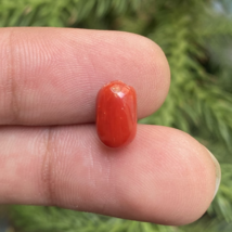  Natural Coral Gemstone, Oval Shape Coral, Gift For Her, Jewelry Making ... - $9.99