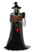 Morris SPELL-SPEAKING Witch Animated - £373.74 GBP