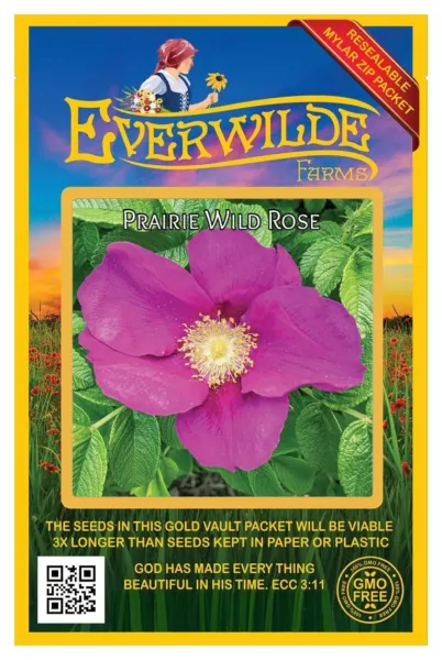 60 Prairie Wild Rose Wildflower Seeds - Everwilde Farms Mylar Seed Packet - £7.47 GBP