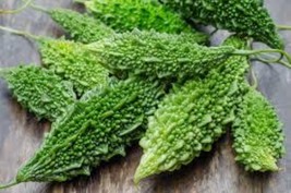 Bitter Melon Extract – Herbal Skin Care, Anti-Acne, Oily Scalp &amp; Hair Ba... - $14.85
