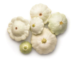 50 Early White Bush &quot;Patty Pan&quot; Scallop Squash Seeds | Pattypan Vegetable - £5.30 GBP