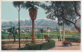 Snow and Palms Pasadena Caifornia CA Postcard B09 - £2.33 GBP