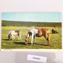 Vintage 1960s Postcard Dartmoor Ponies ETW Dennis Photocolour Devon England - $12.91