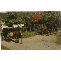 Vintage Postcard, 1968, &quot;Heart of Dutchland&quot;, Mennonite Family Buggies - £7.98 GBP