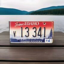 1999 Scenic Idaho License Plate Valley  County Big Pine On (R) V 13341 M... - $20.00