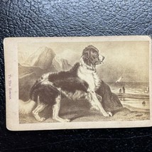 St Bernard Dog TO THE RESCUE vintage Trade Card - $470.03 MXN