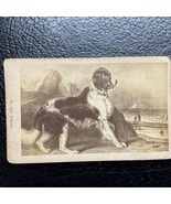 St Bernard Dog TO THE RESCUE vintage Trade Card - $468.10 MXN