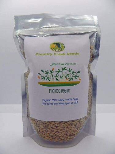 6 oz Barley - Organic- NON GMO microgreen seeds for Sprouting Sprouts