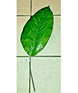 Large decorative leaf - £2.19 GBP